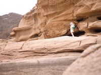 G44は怪我しない NO.23 ニア