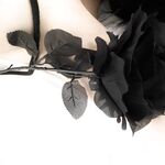 何千人もの人々が、個人的に撮影された Twitter の最高の巨乳で脚の長い女性 [Freya] を購入したいと考えています。彼女は公園や地下鉄で露出され、胸が脱げるまでセックスパートナーに犯されました。