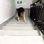 何千人もの人々が、個人的に撮影された Twitter の最高の巨乳で脚の長い女性 [Freya] を購入したいと考えています。彼女は公園や地下鉄で露出され、胸が脱げるまでセックスパートナーに犯されました。