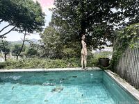 Kieisha Kiko Benimo Mogi Fuyoshijima Travel Beat Exposure Hana Gore (3)