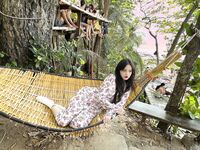 Kieisha Kiko Benimo Mogi Fuyoshijima Travel Beat Exposure Hana Gore (3)