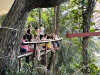 Kieisha Kiko Benimo Mogi Fuyoshijima Travel Beat Exposure Hana Gore (3)