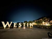 Kieisha Kiko Benimo Mogi Fuyoshijima Travel Beat Exposure Hana Gore (3)