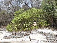 โมเตกิ กิโกะ นางแบบสีแดง Xiweisha ทริปภูเก็ต เผยภาพเบื้องหลัง (1)