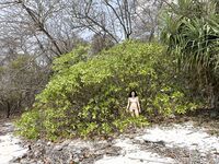 โมเตกิ กิโกะ นางแบบสีแดง Xiweisha ทริปภูเก็ต เผยภาพเบื้องหลัง (1)