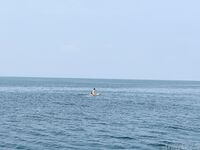 โมเตกิ กิโกะ นางแบบสีแดง Xiweisha ทริปภูเก็ต เผยภาพเบื้องหลัง (2)