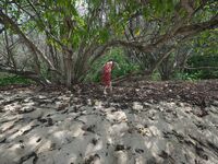 Kieisha Kiko Mogi Benimomi Fuyoshijima Travel Beat Terdedah Serpihan Asal (1)