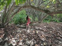 Kieisha Kiko Mogi Benimomi Fuyoshijima Travel Beat Terdedah Serpihan Asal (1)