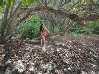 Kieisha Kiko Mogi Benimomi Fuyoshijima Travel Beat Terdedah Serpihan Asal (1)