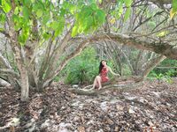 Kieisha Kiko Mogi Benimomi Fuyoshijima Travel Beat Terdedah Serpihan Asal (1)