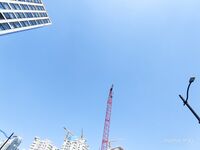 트위터의 유럽 및 미국 거대 수탉 마스터 [BBB 삼촌]과 비교할 때 수탉은 소녀의 팔뚝만큼 두껍고 수탉에 유명한 시계를 착용 한 소녀는 오쟁이 진 남편 노예와 함께 움찔합니다.