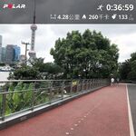 트위터의 유럽 및 미국 거대 수탉 마스터 [BBB 삼촌]과 비교할 때 수탉은 소녀의 팔뚝만큼 두껍고 수탉에 유명한 시계를 착용 한 소녀는 오쟁이 진 남편 노예와 함께 움찔합니다.