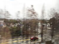 트위터의 유럽 및 미국 거대 수탉 마스터 [BBB 삼촌]과 비교할 때 수탉은 소녀의 팔뚝만큼 두껍고 수탉에 유명한 시계를 착용 한 소녀는 오쟁이 진 남편 노예와 함께 움찔합니다.