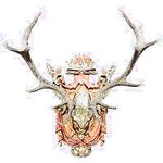 트위터의 유럽 및 미국 거대 수탉 마스터 [BBB 삼촌]과 비교할 때 수탉은 소녀의 팔뚝만큼 두껍고 수탉에 유명한 시계를 착용 한 소녀는 오쟁이 진 남편 노예와 함께 움찔합니다.