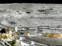 트위터의 유럽 및 미국 거대 수탉 마스터 [BBB 삼촌]과 비교할 때 수탉은 소녀의 팔뚝만큼 두껍고 수탉에 유명한 시계를 착용 한 소녀는 오쟁이 진 남편 노예와 함께 움찔합니다.