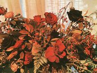 트위터 팔로어 30명을 보유한 인터넷 연예인 암캐 [바실레바의 일기 Vasileva1122]가 복지 개인 사진 촬영에 등장했습니다. 암캐는 소변을 마시고 두 번 성관계를 갖도록 훈련 받았습니다.