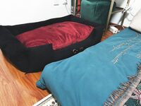 트위터 팔로어 30명을 보유한 인터넷 연예인 암캐 [바실레바의 일기 Vasileva1122]가 복지 개인 사진 촬영에 등장했습니다. 암캐는 소변을 마시고 두 번 성관계를 갖도록 훈련 받았습니다.