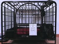 트위터 팔로어 30명을 보유한 인터넷 연예인 암캐 [바실레바의 일기 Vasileva1122]가 복지 개인 사진 촬영에 등장했습니다. 암캐는 소변을 마시고 두 번 성관계를 갖도록 훈련 받았습니다.