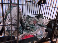 트위터 팔로어 30명을 보유한 인터넷 연예인 암캐 [바실레바의 일기 Vasileva1122]가 복지 개인 사진 촬영에 등장했습니다. 암캐는 소변을 마시고 두 번 성관계를 갖도록 훈련 받았습니다.