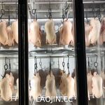 2024年6月流出，推特上的小空姐【Devil60209461】門檻199的付費福利，前凸後翹極品