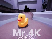 รั่วไหลออกมาในปี 2024 ทวิตเตอร์เผยให้เห็นคู่รักหนุ่มสาวชนชั้นกลาง [4K_Eternal] ใช้ชีวิตสำส่อน ภรรยาชั้นยอดที่เล่นโยคะ และถูกผู้ชายโสดหลายคนเล่นตลก