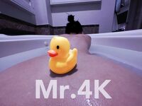 推特淫乱中产夫妇【Mr.4K】女主身材极品，喜欢瑜伽高尔夫，喜欢绿帽的刺激约众单男肏老婆