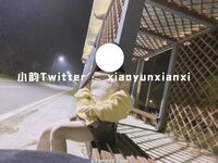 Karya oleh ahli Xiaoyun Fairy