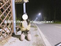 Karya oleh ahli Xiaoyun Fairy