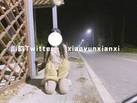 Karya oleh ahli Xiaoyun Fairy