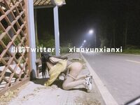 Karya oleh ahli Xiaoyun Fairy