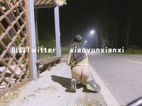 Karya oleh ahli Xiaoyun Fairy