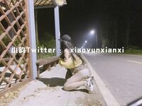 Karya oleh ahli Xiaoyun Fairy