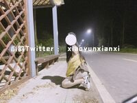 Karya oleh ahli Xiaoyun Fairy