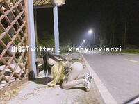 Karya oleh ahli Xiaoyun Fairy