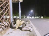 Karya oleh ahli Xiaoyun Fairy