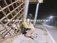 Karya oleh ahli Xiaoyun Fairy