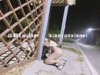 Karya oleh ahli Xiaoyun Fairy