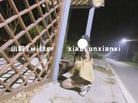 Karya oleh ahli Xiaoyun Fairy