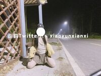 Karya oleh ahli Xiaoyun Fairy