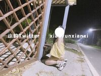 Karya oleh ahli Xiaoyun Fairy