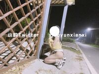 Karya oleh ahli Xiaoyun Fairy