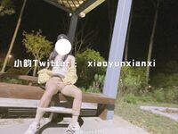 Karya oleh ahli Xiaoyun Fairy