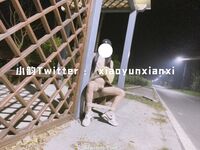 Karya oleh ahli Xiaoyun Fairy