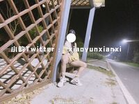 Karya oleh ahli Xiaoyun Fairy