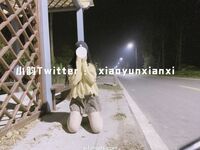 Karya oleh ahli Xiaoyun Fairy