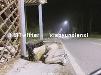 Karya oleh ahli Xiaoyun Fairy