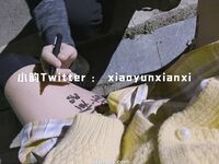 Karya oleh ahli Xiaoyun Fairy