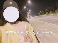 Karya oleh ahli Xiaoyun Fairy