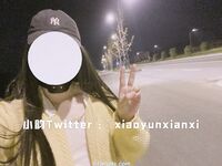 Karya oleh ahli Xiaoyun Fairy