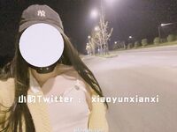 Karya oleh ahli Xiaoyun Fairy